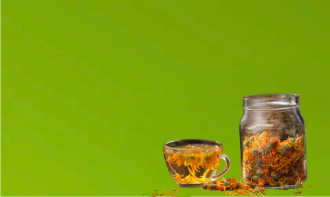 Menaje para tomar Té - TEAINFUSION Accesorios para el té - TEAINFUSION